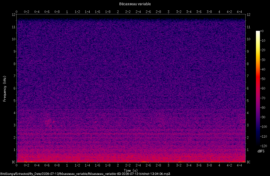 Spectrogramme de Bécasseau variable