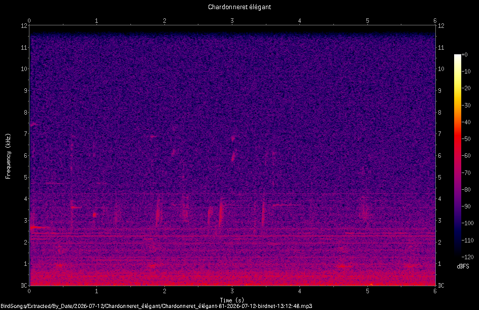 Spectrogramme de Chardonneret élégant