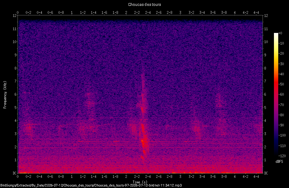 Spectrogramme de Choucas des tours