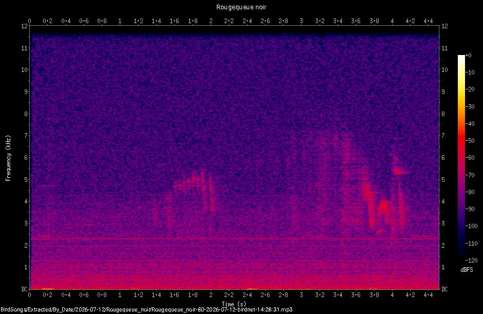 Spectrogramme de Rougequeue noir