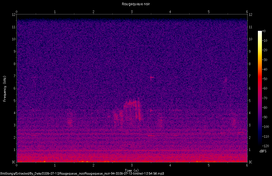 Spectrogramme de Rougequeue noir