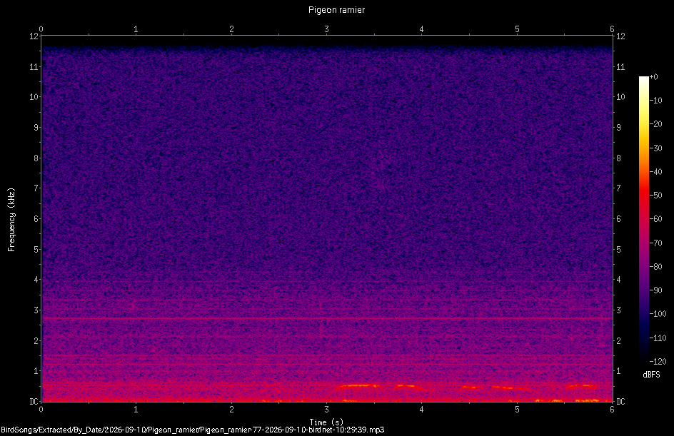 Spectrogramme de Pigeon ramier