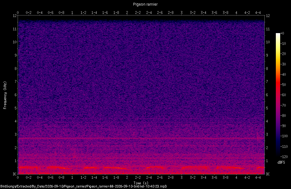 Spectrogramme de Pigeon ramier