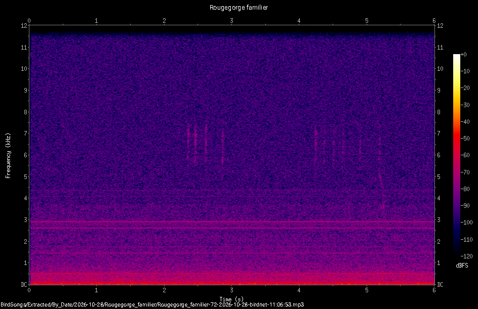 Spectrogramme de Rougegorge familier