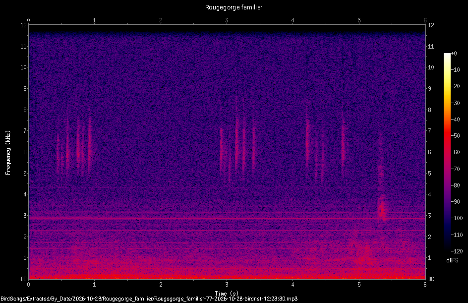 Spectrogramme de Rougegorge familier